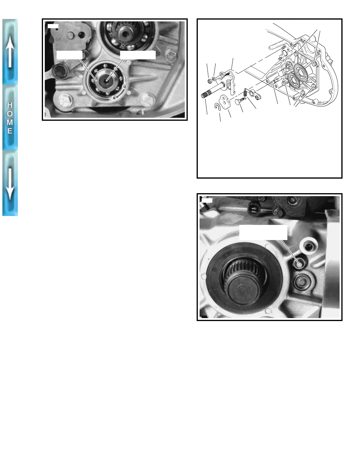 Page #261 background image