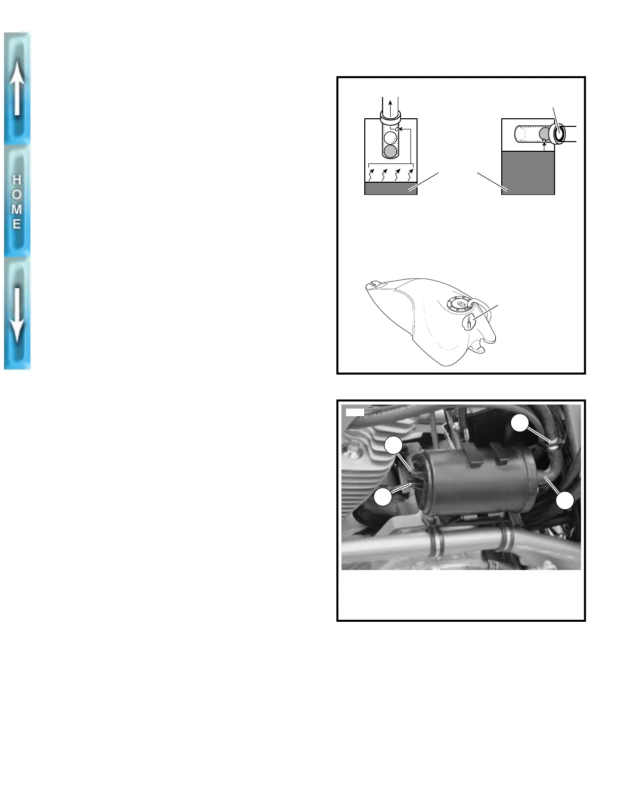 Page #224 background image