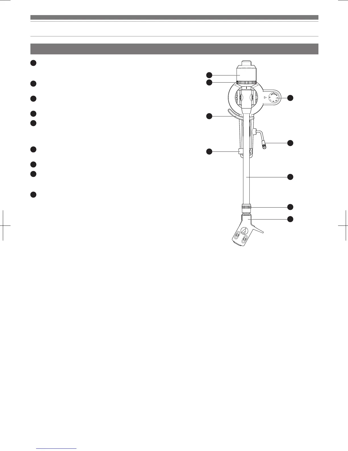 Page #54 background image