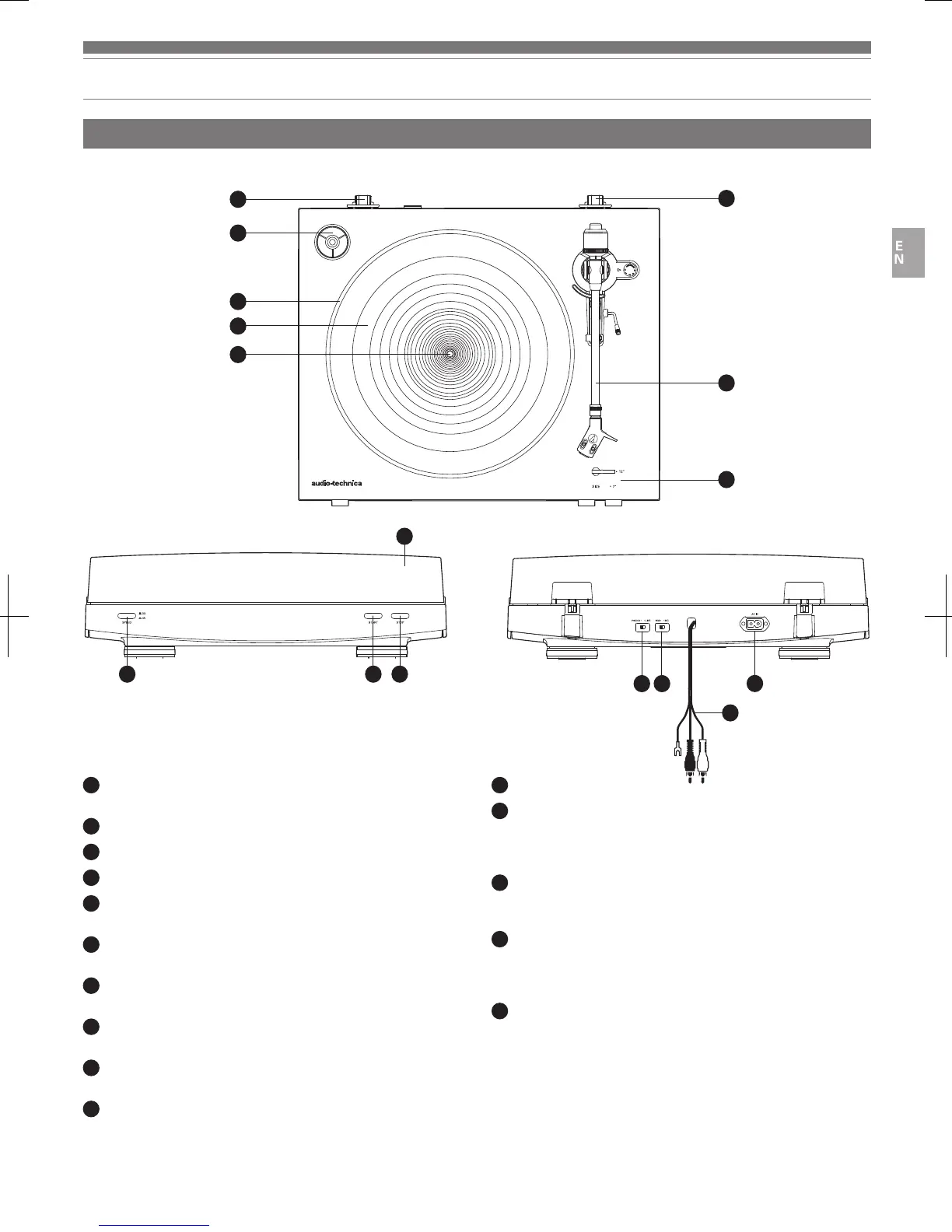 Page #5 background image
