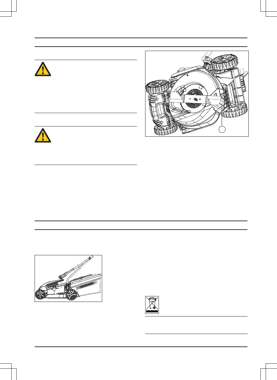 Page #257 background image
