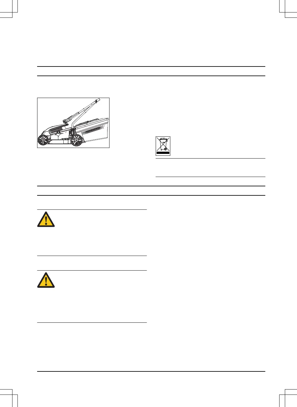 Page #233 background image