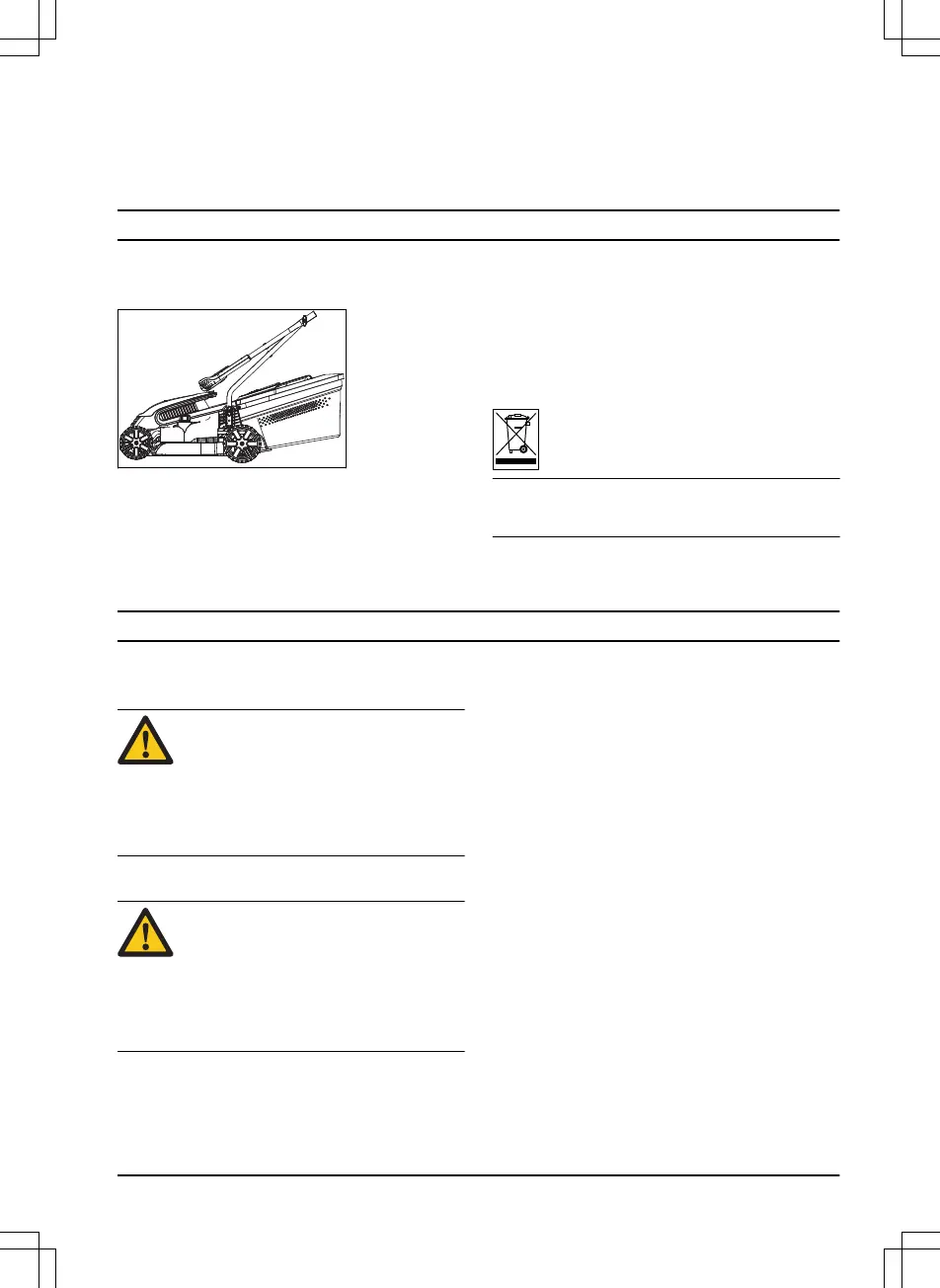 Page #245 background image