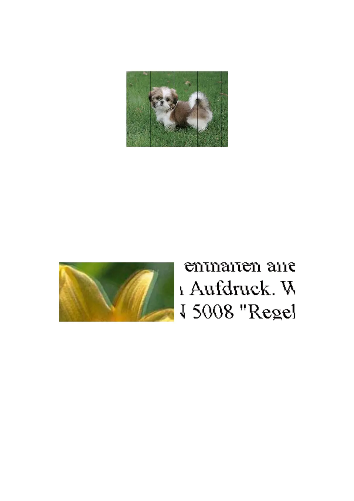 Page #101 background image