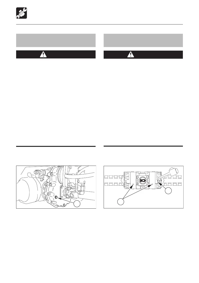 Page #135 background image