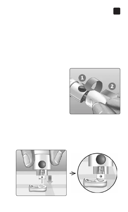 Page #67 background image
