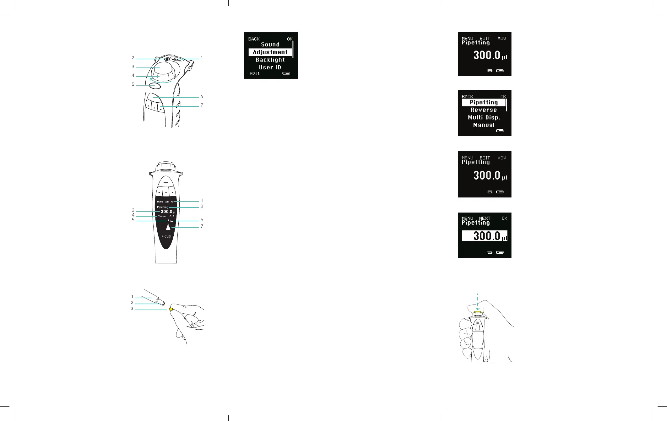 Page #2 background image