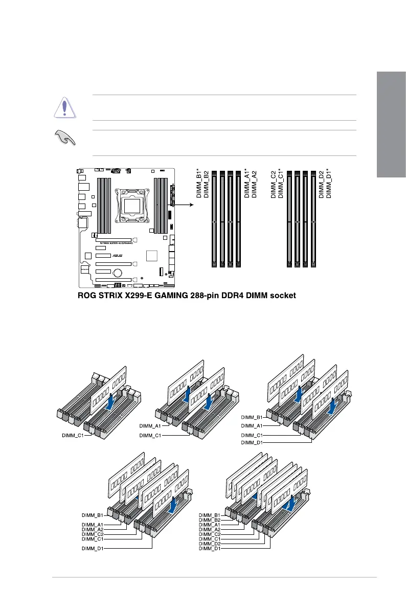 Page #21 background image