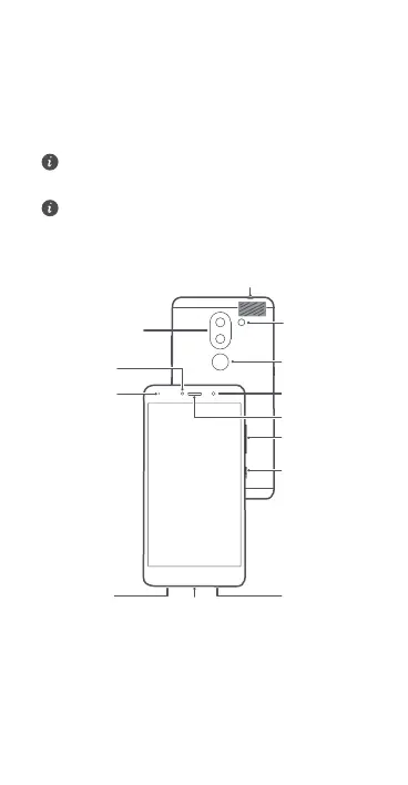 Page #117 background image