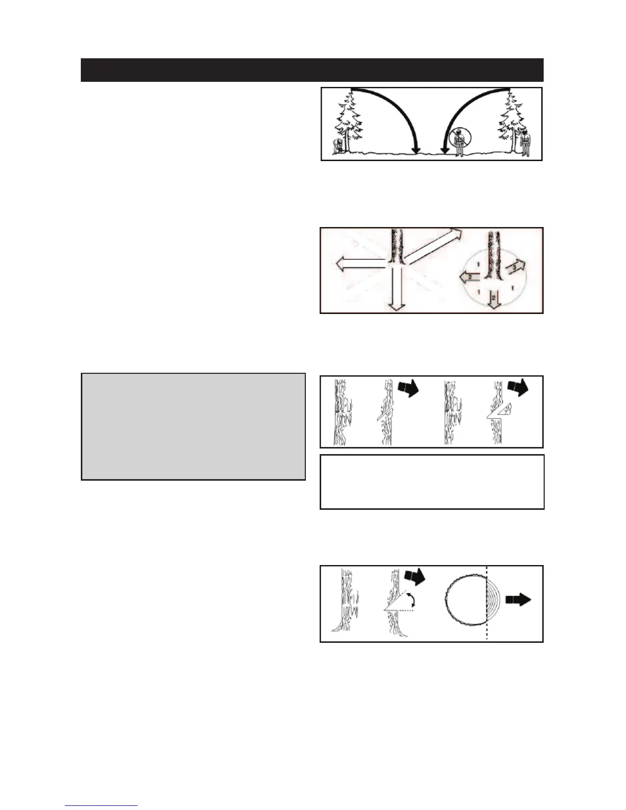 Page #277 background image