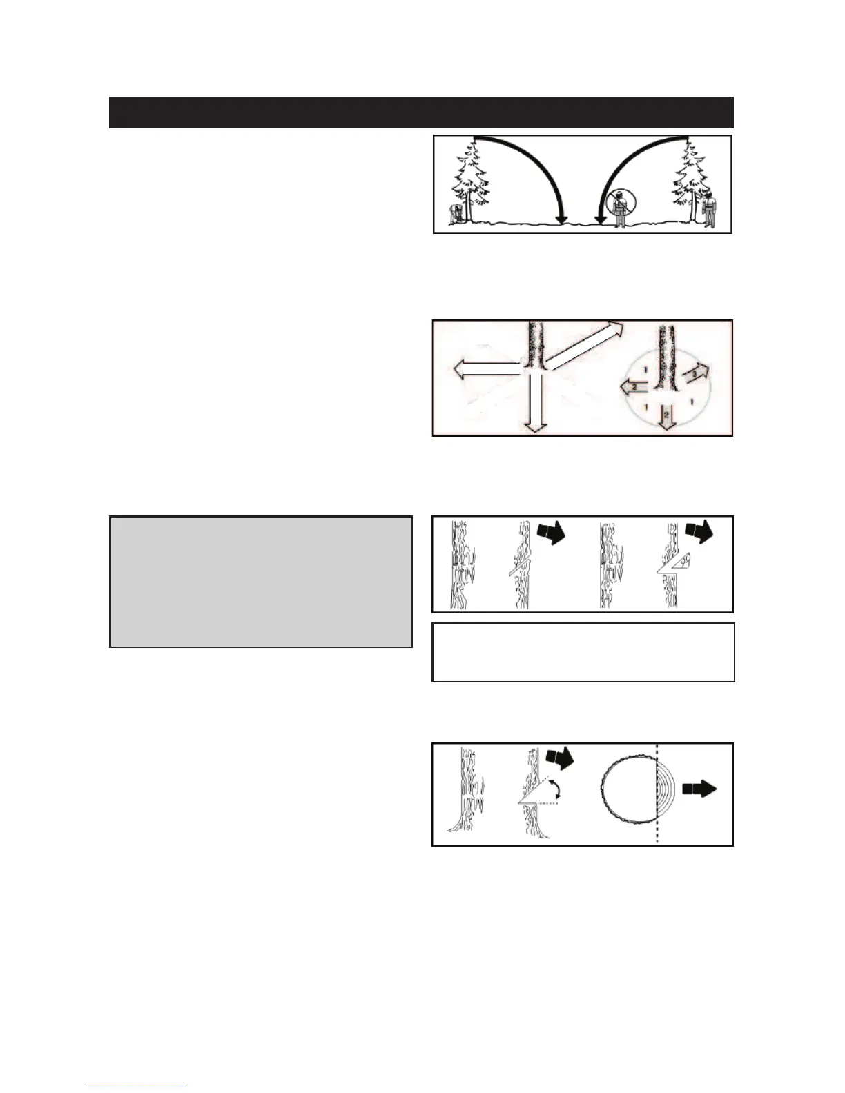 Page #353 background image