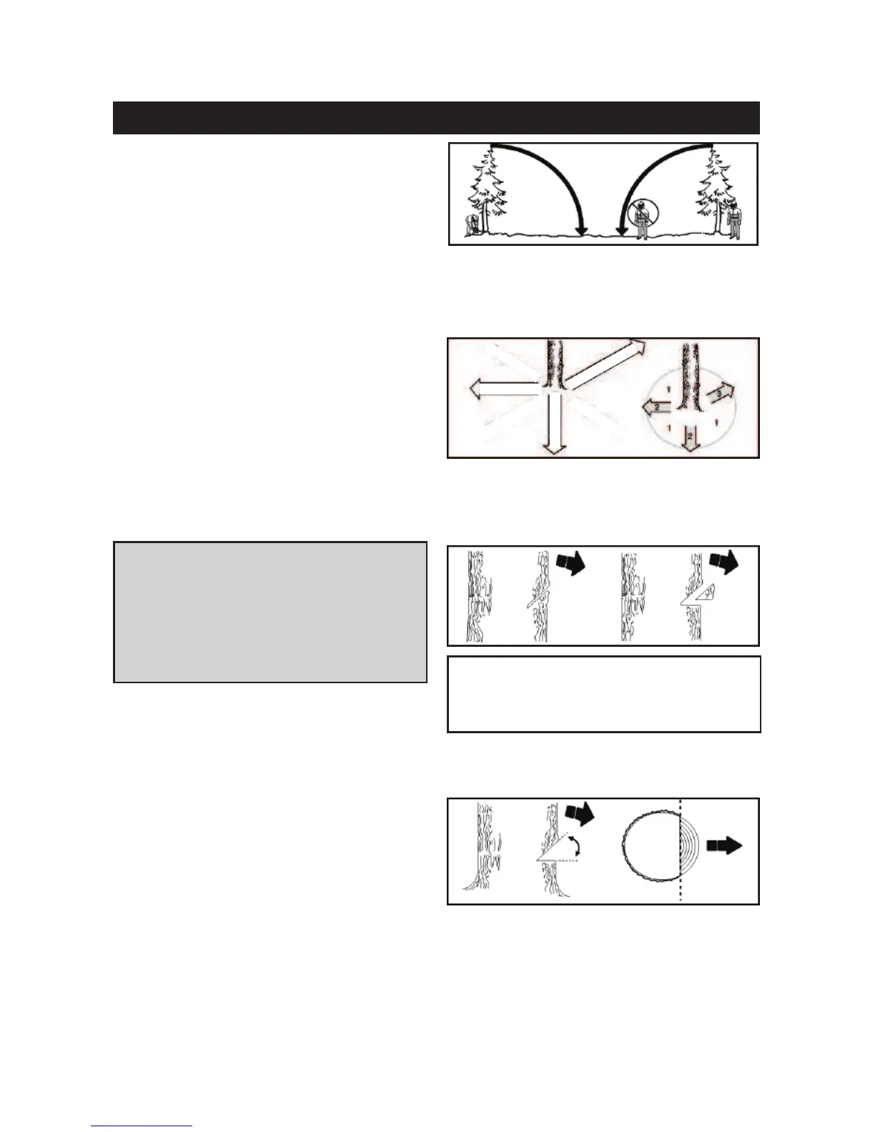 Page #372 background image
