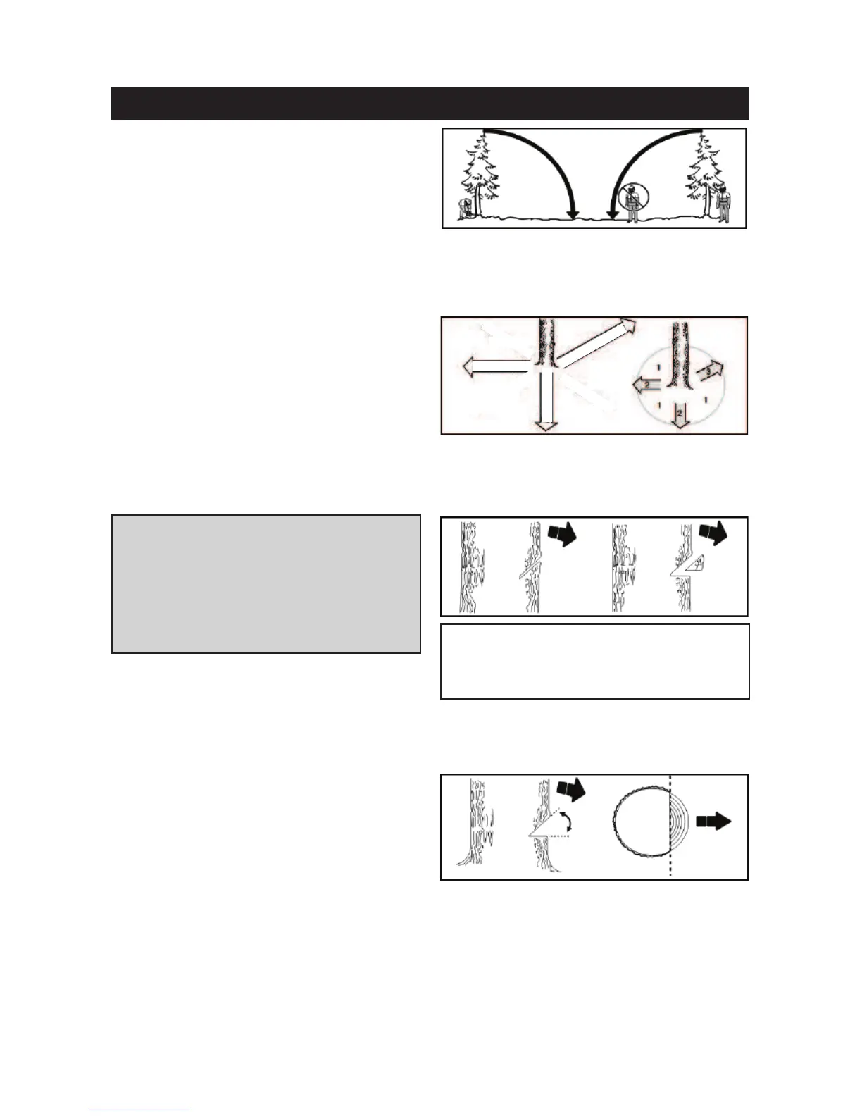Page #68 background image
