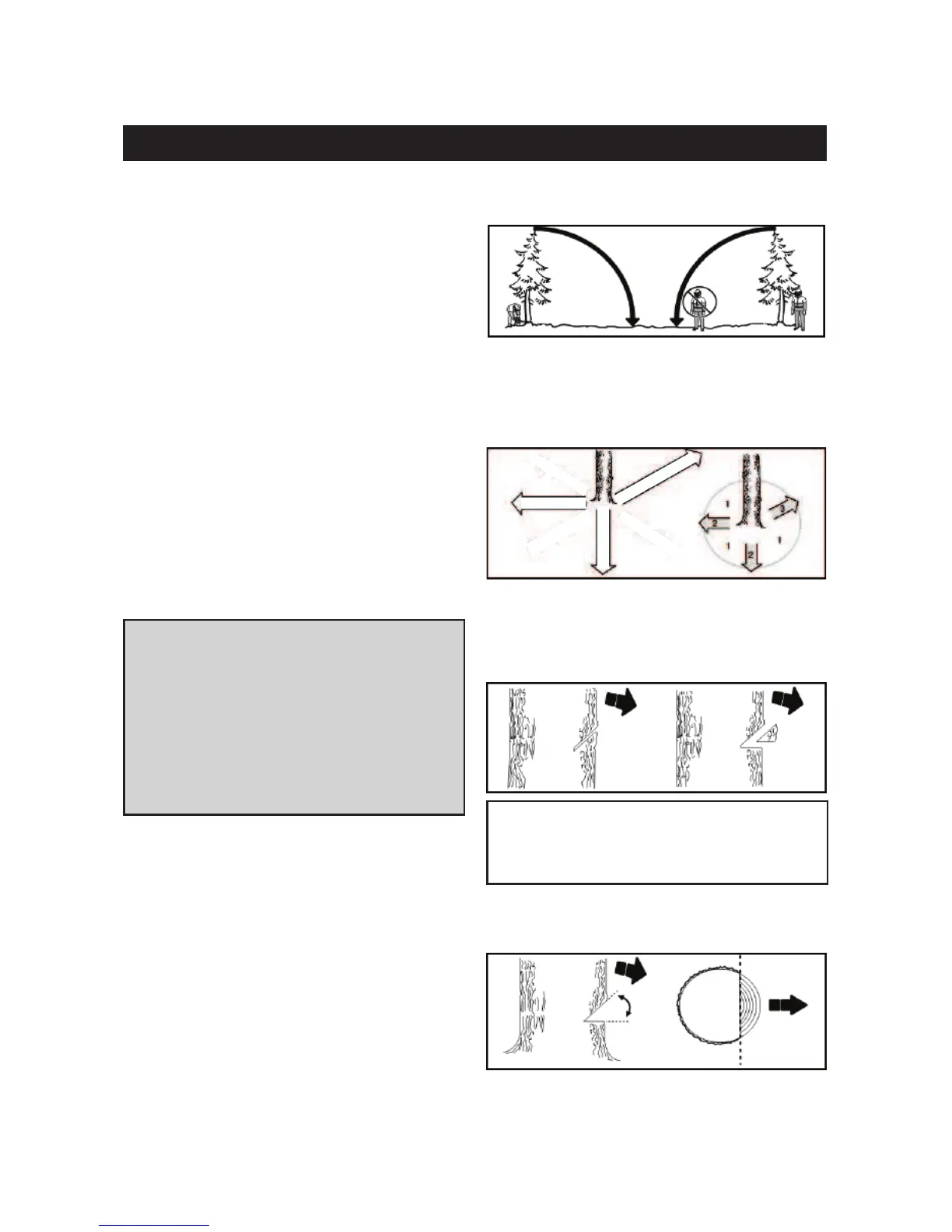 Page #125 background image