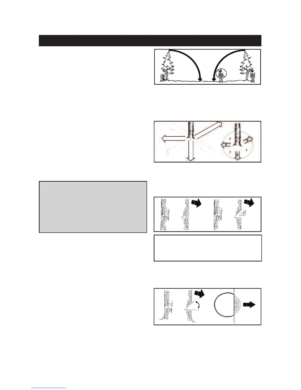 Page #163 background image