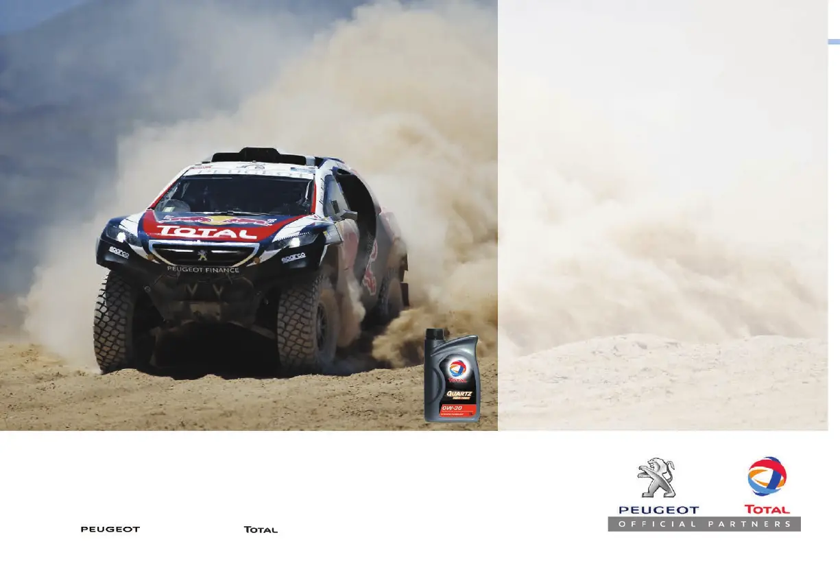 Page #246 background image