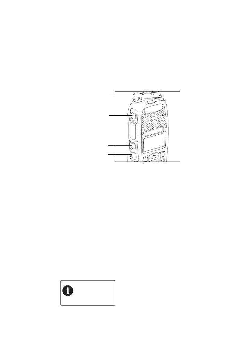 Page #37 background image