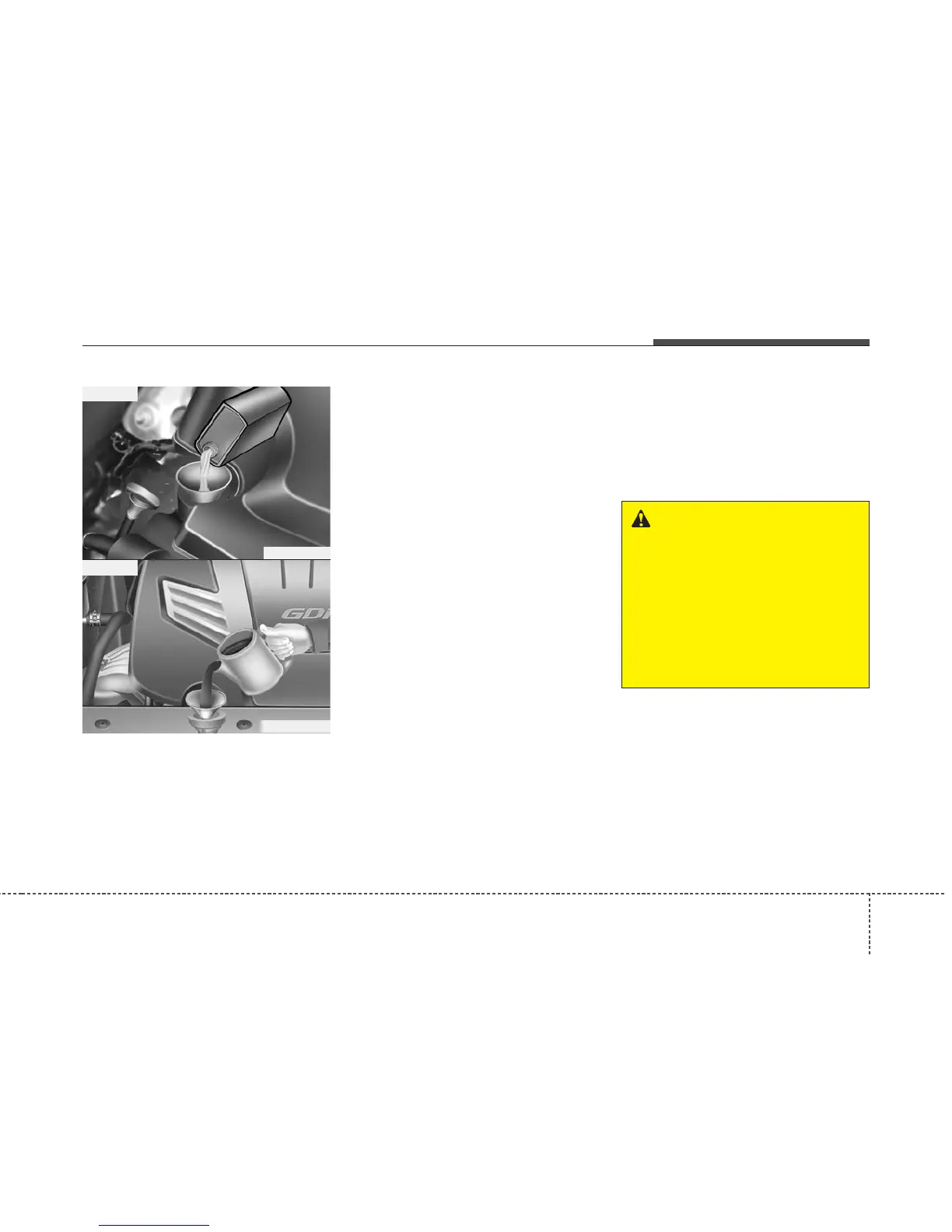 Page #446 background image