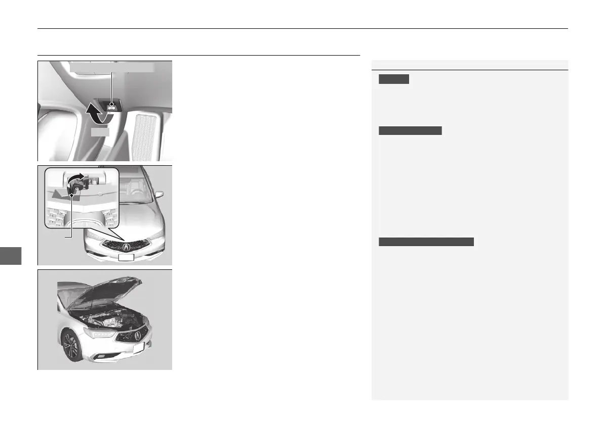 Page #478 background image