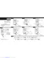 Preview: Quick Reference Guide