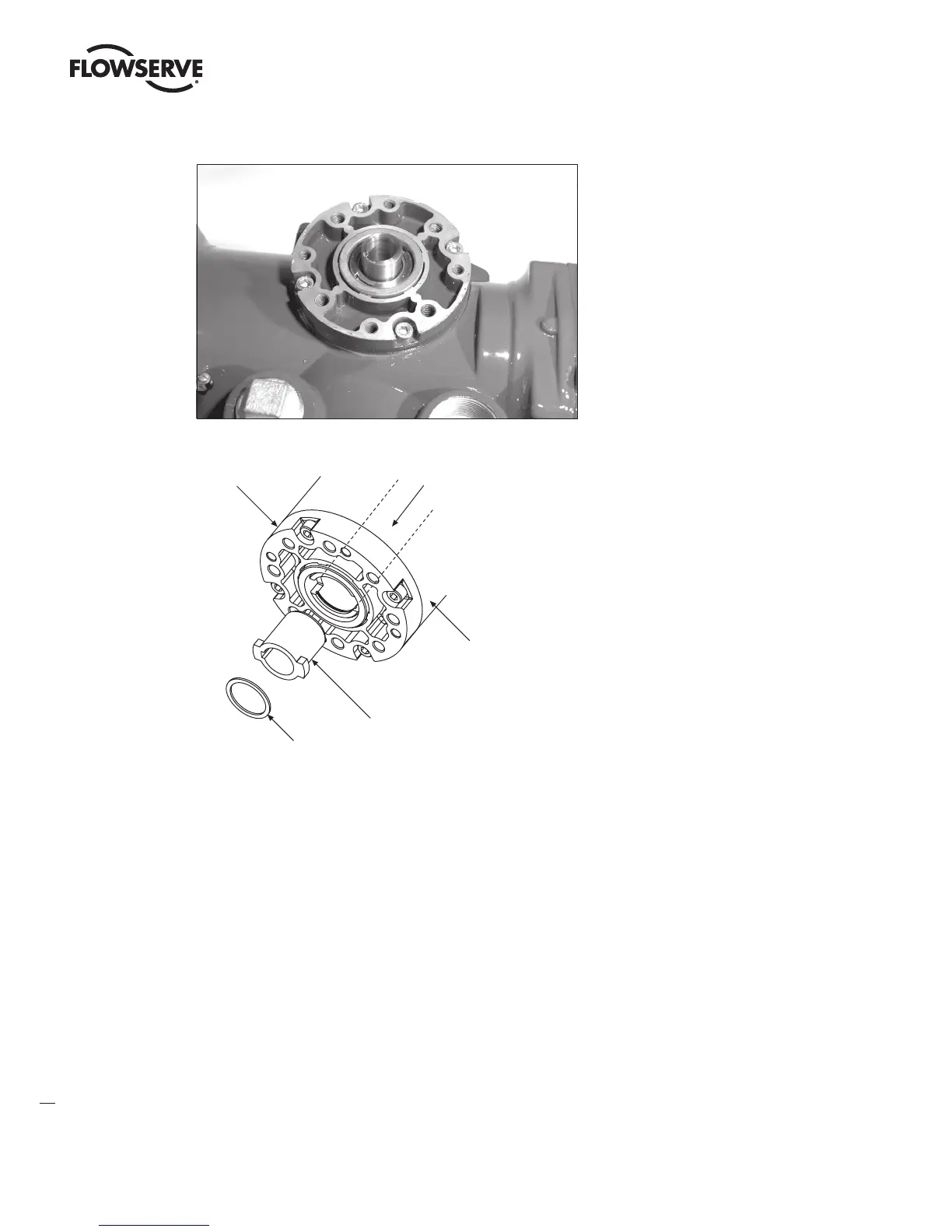 Page #16 background image