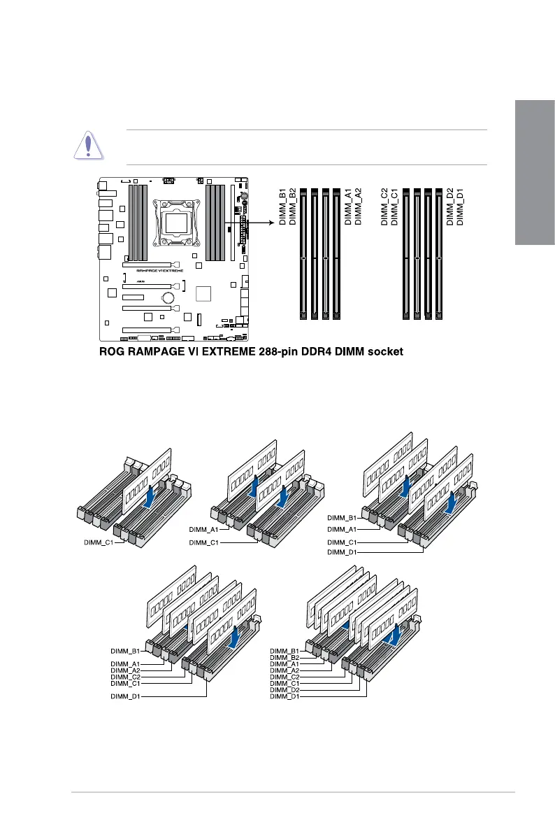 Page #21 background image