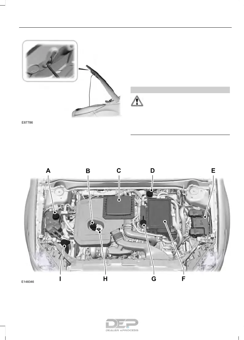 Page #256 background image