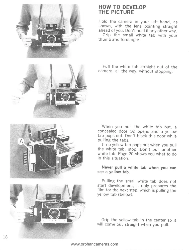 Page #19 background image