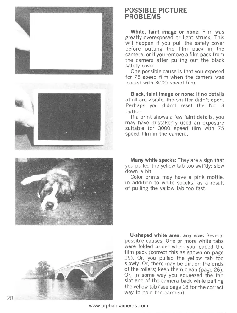 Page #29 background image