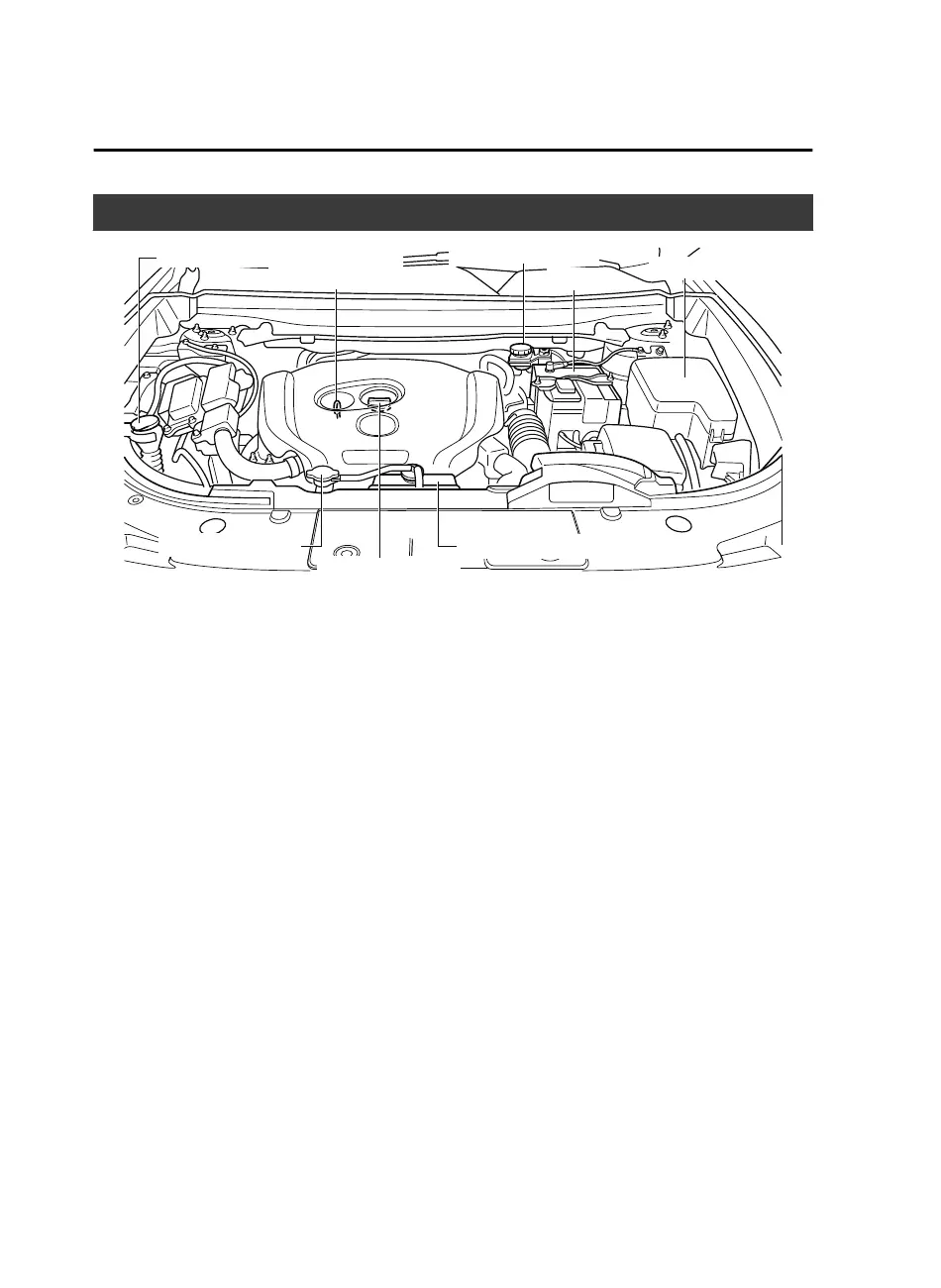 Page #462 background image