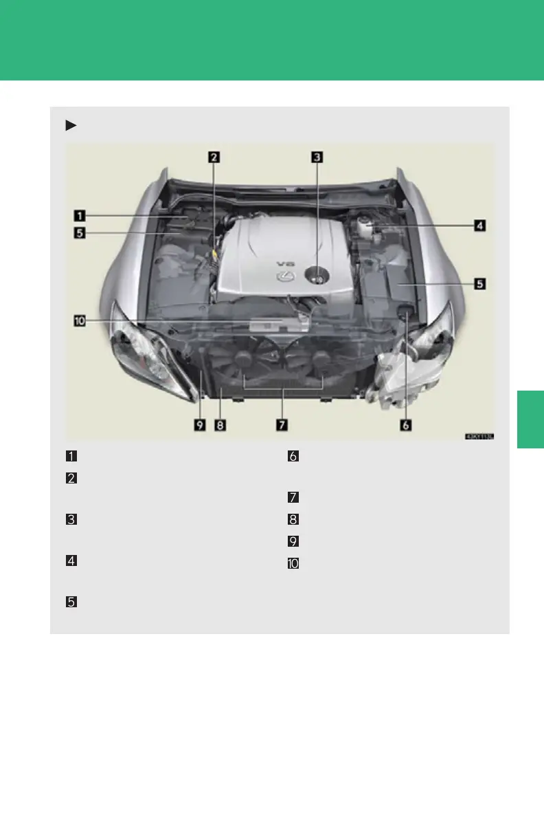 Page #417 background image