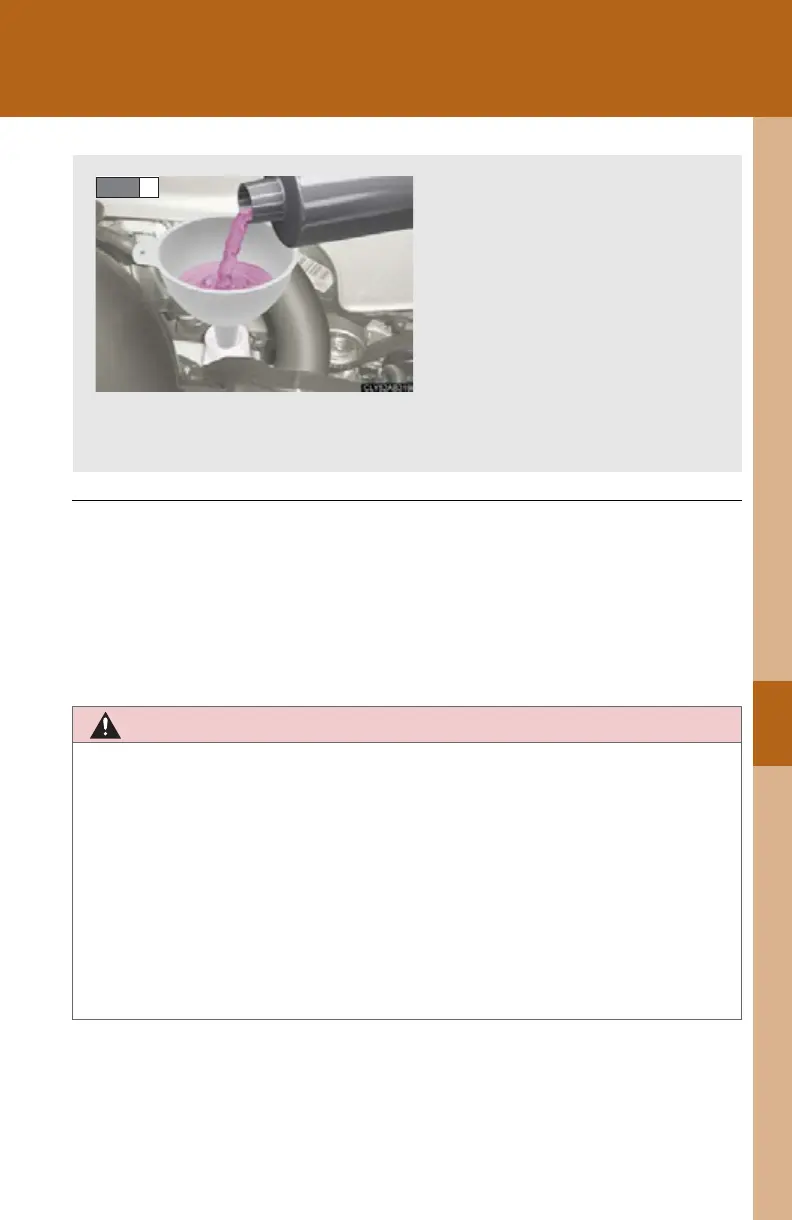 Page #537 background image