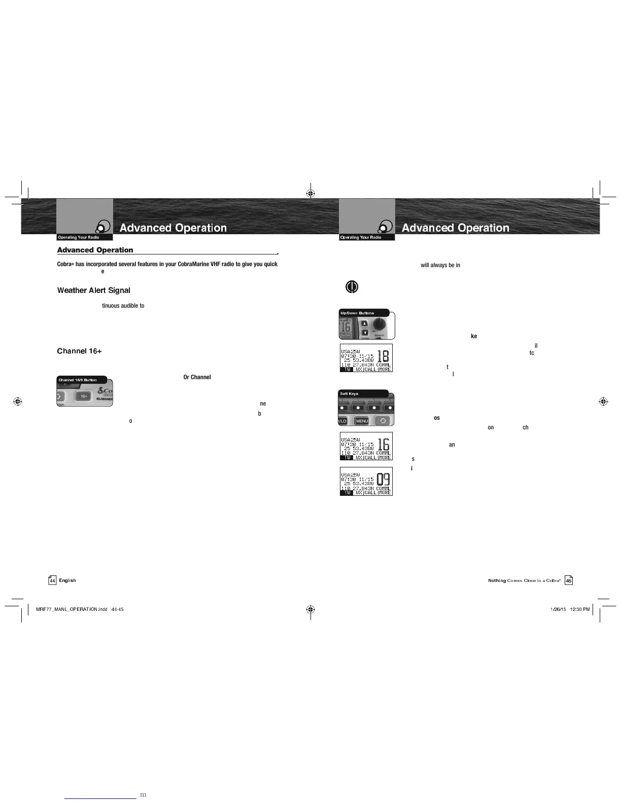 Page #2 background image