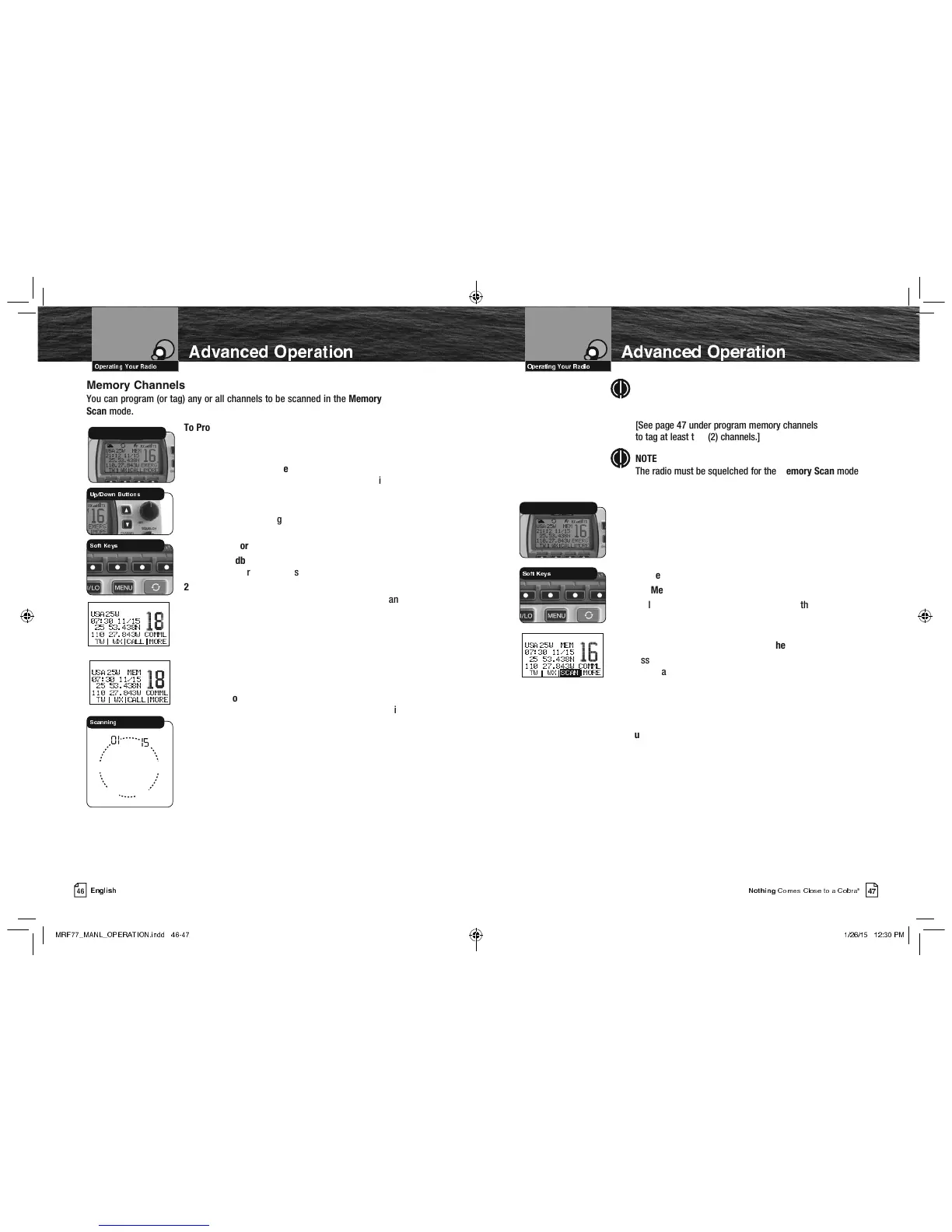 Page #3 background image