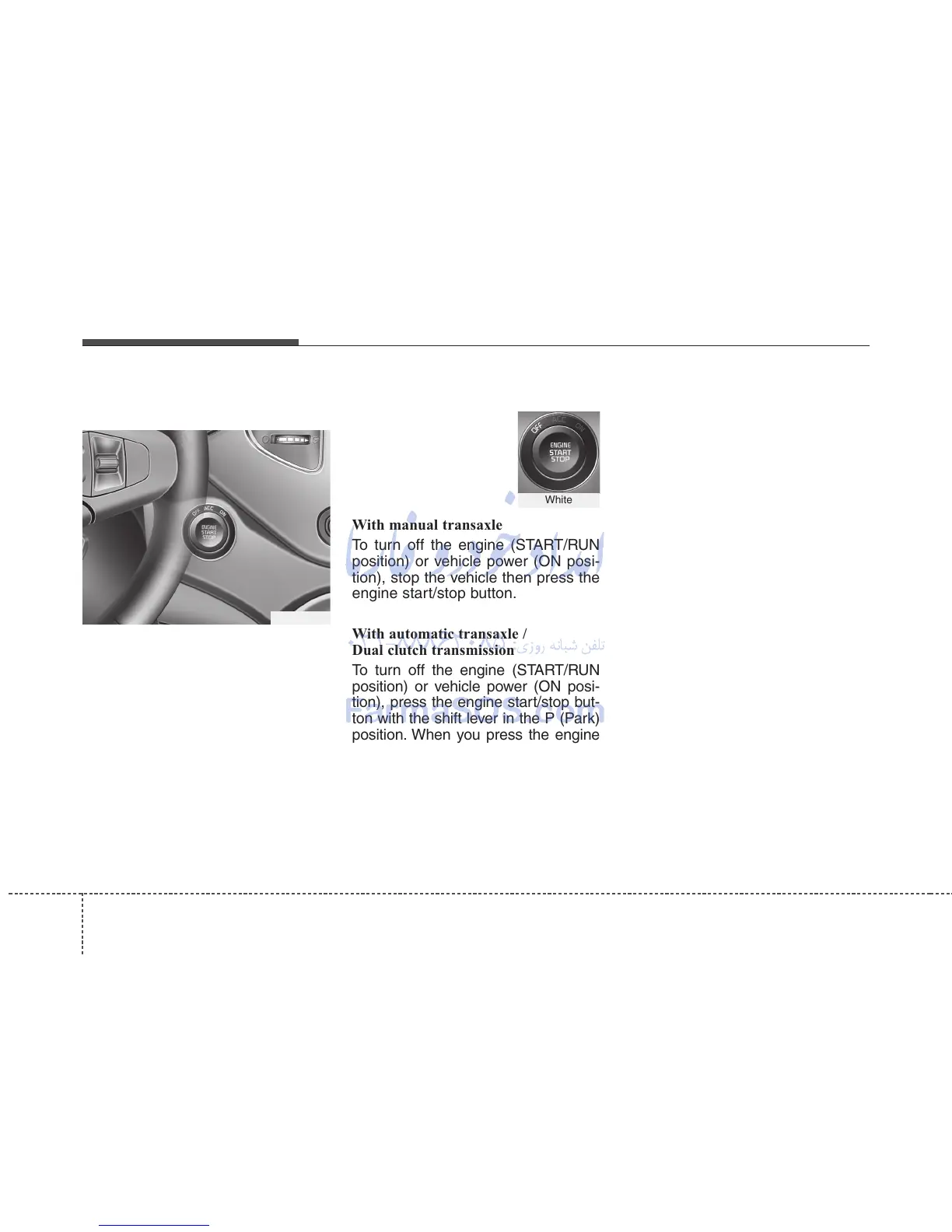 Page #446 background image