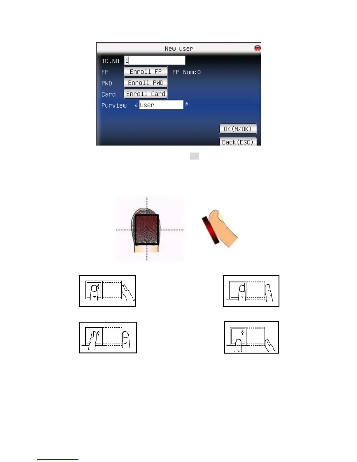 Page #10 background image