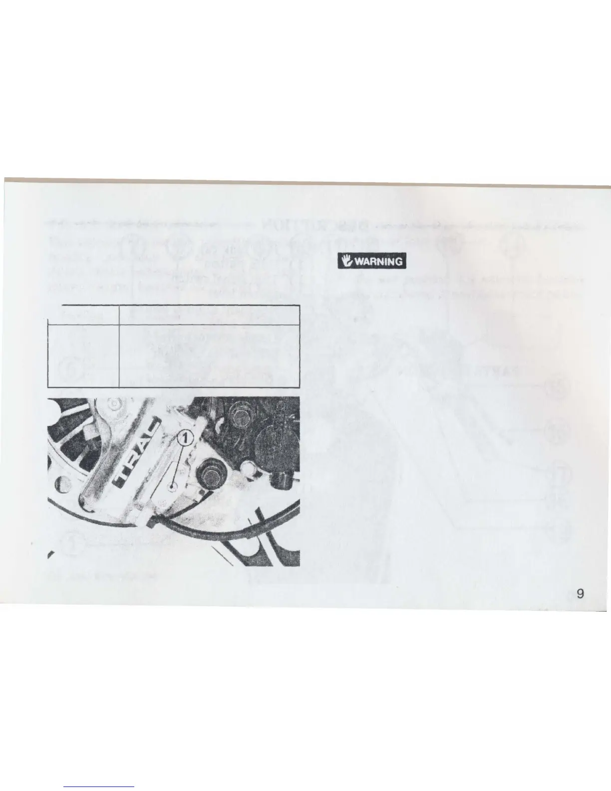 Page #13 background image