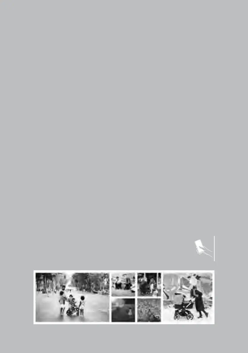 Page #259 background image