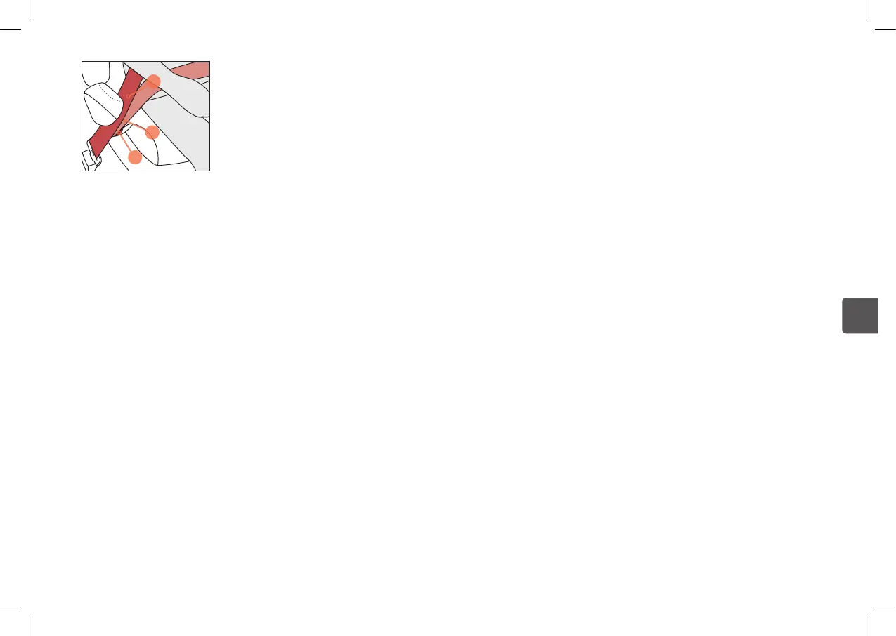 Page #66 background image