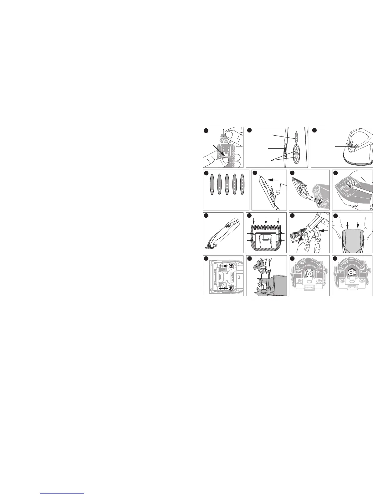 Page #3 background image
