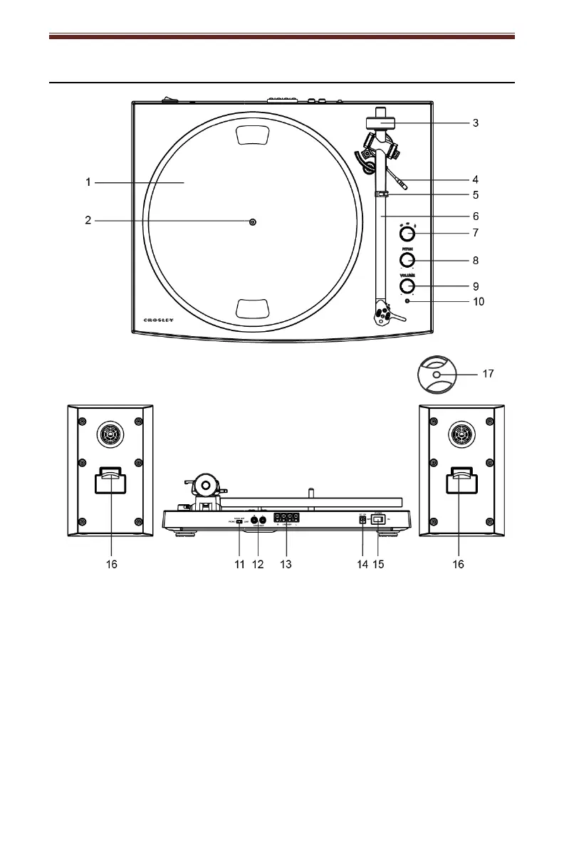 Page #4 background image