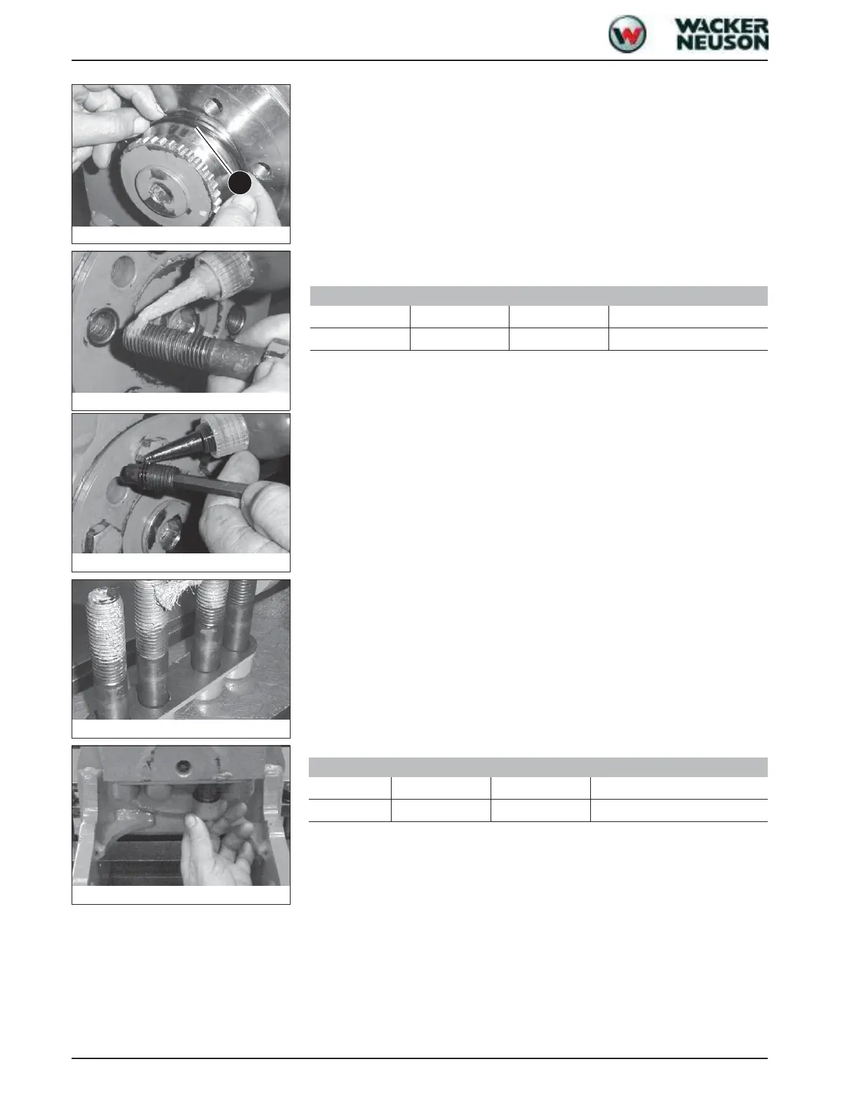 Page #256 background image