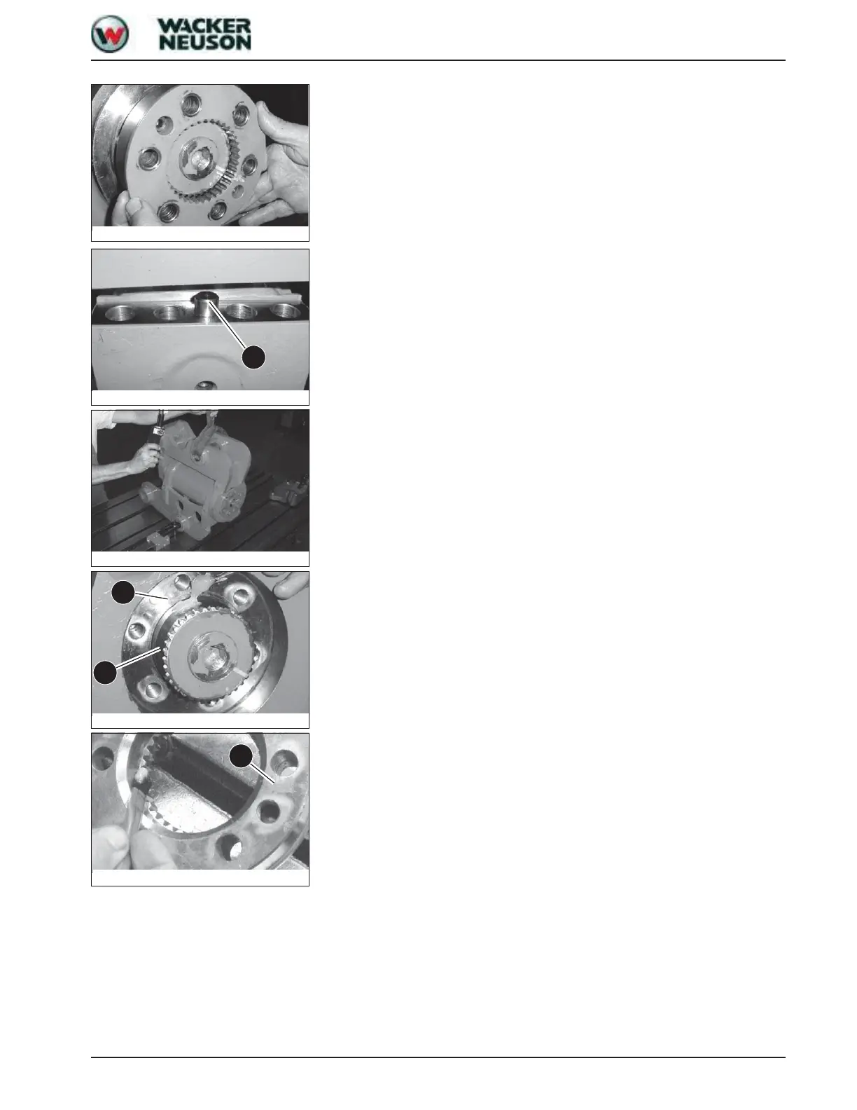 Page #255 background image