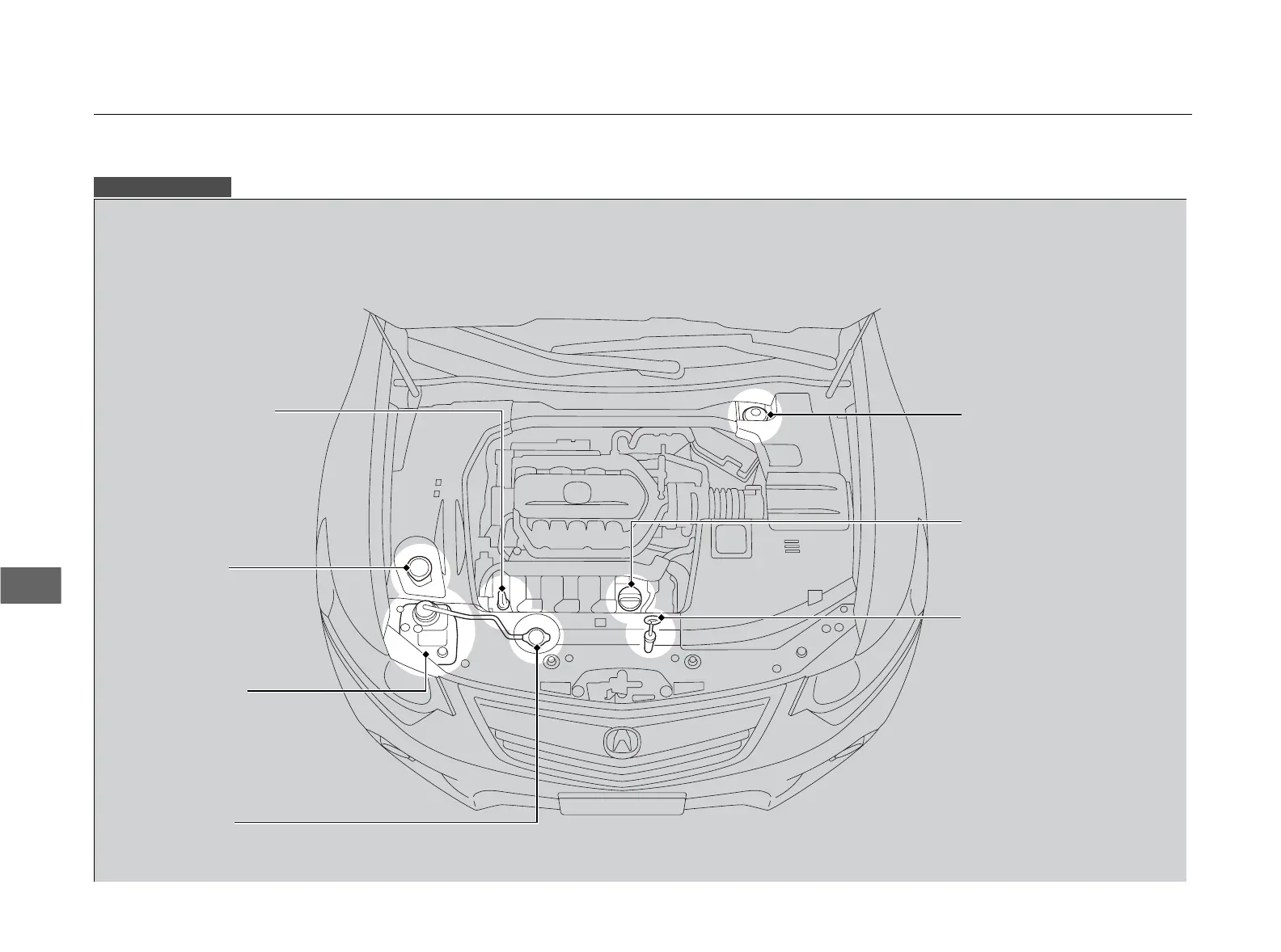 Page #231 background image