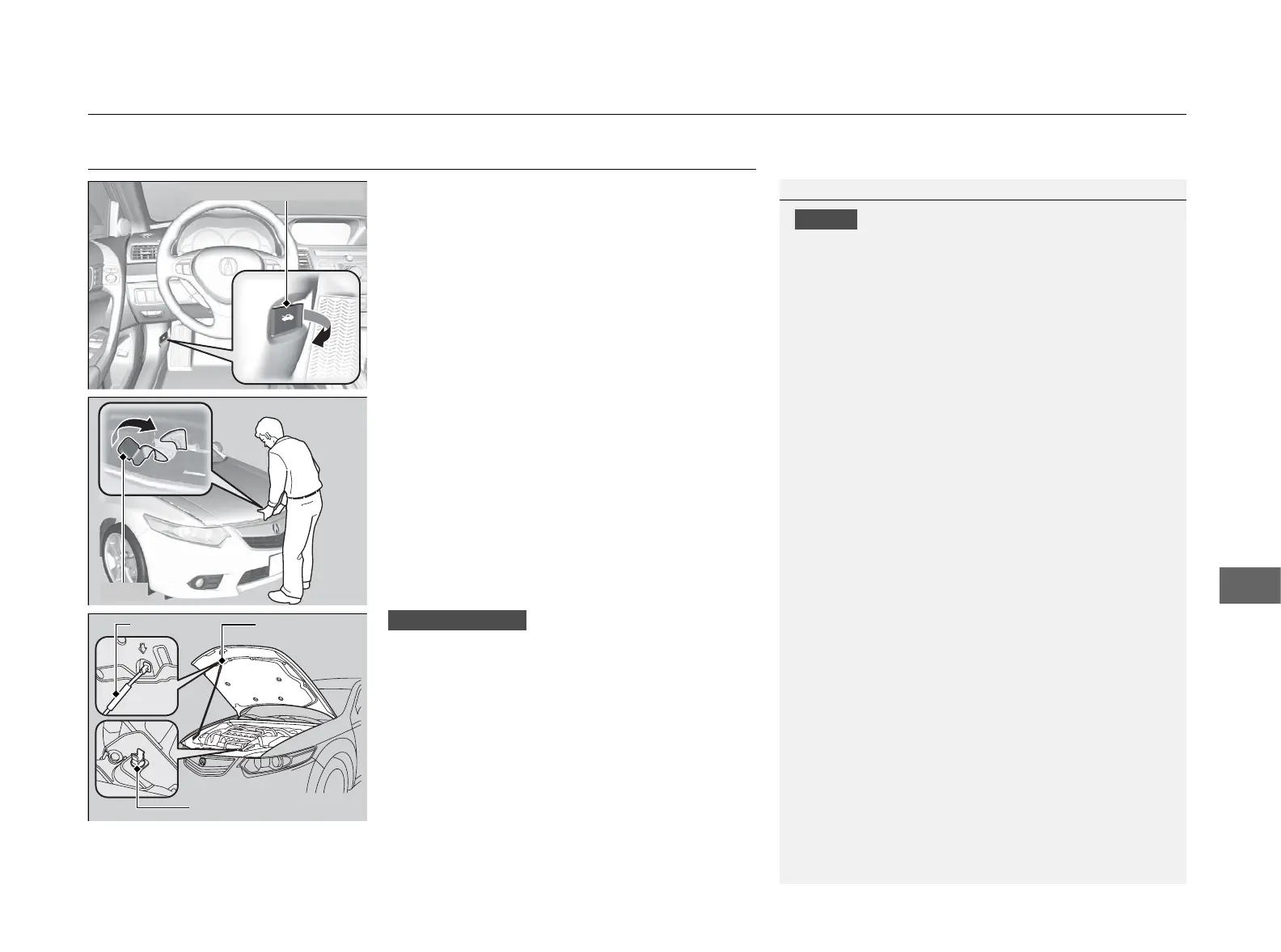 Page #232 background image