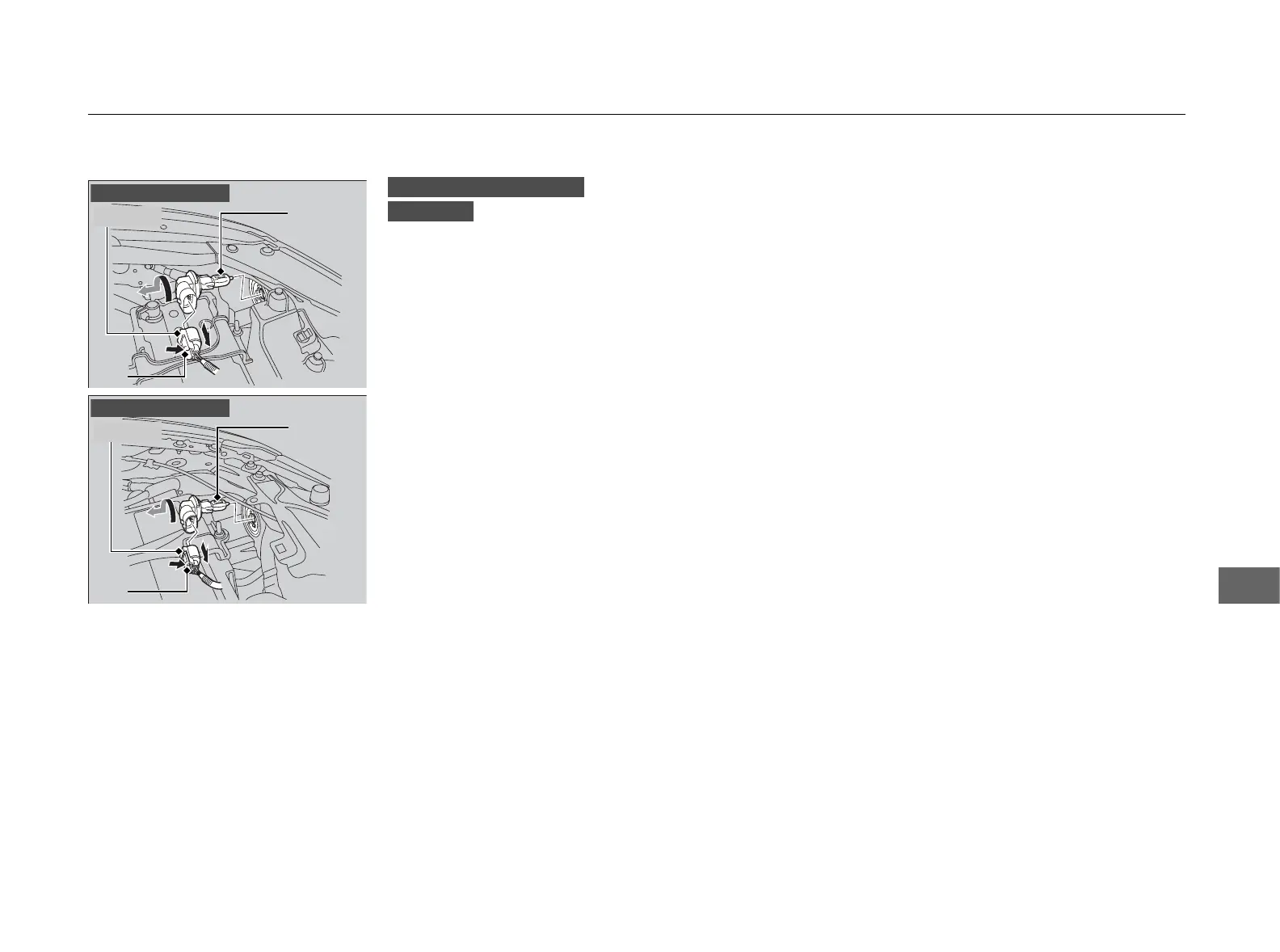 Page #250 background image