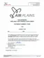 Preview: Airplane Flight Manual Supplement