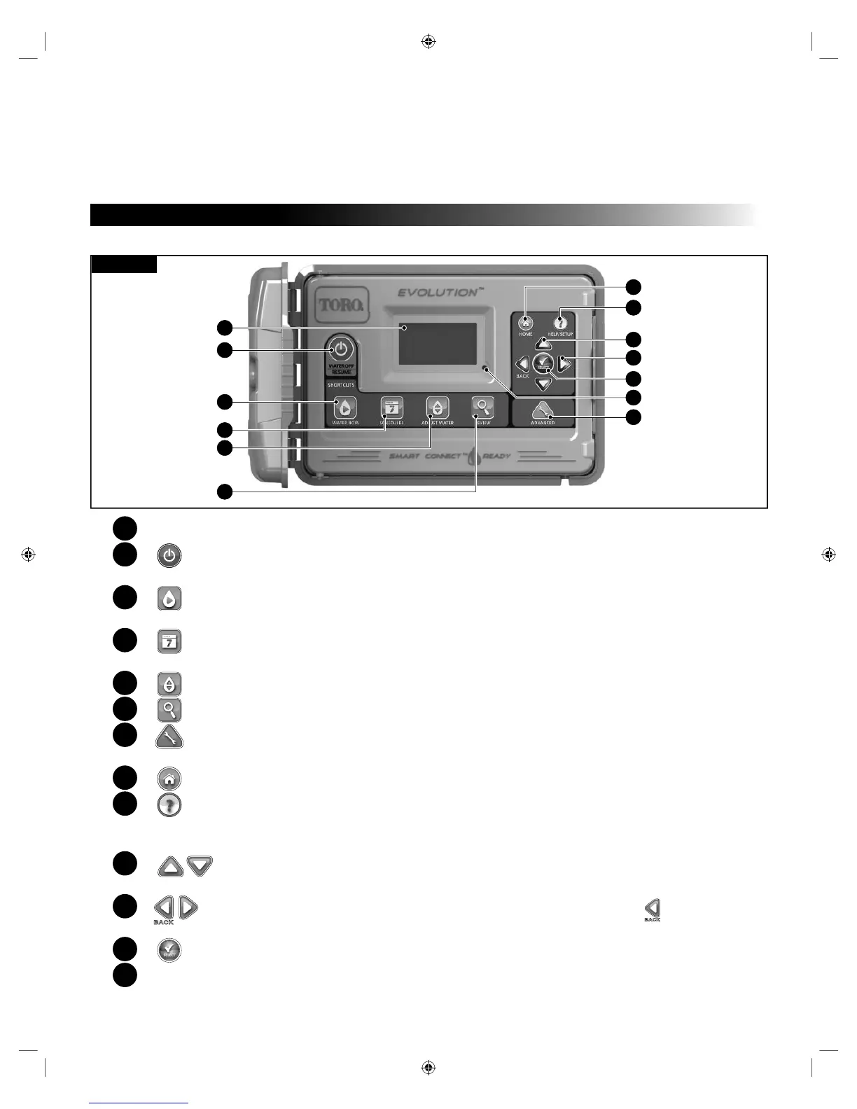 Page #41 background image