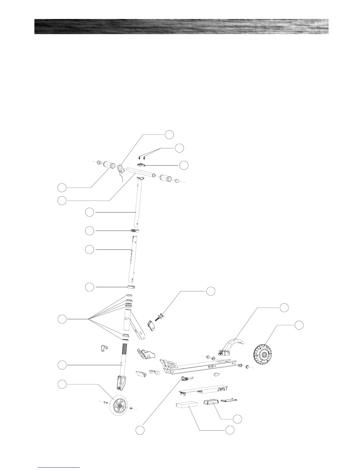 Page #13 background image