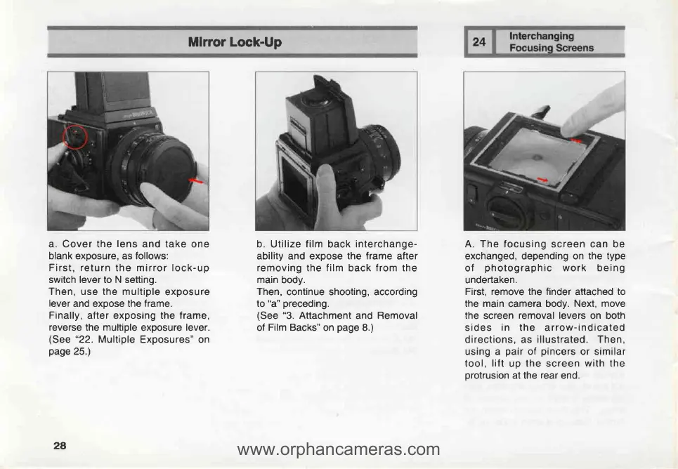 Page #31 background image